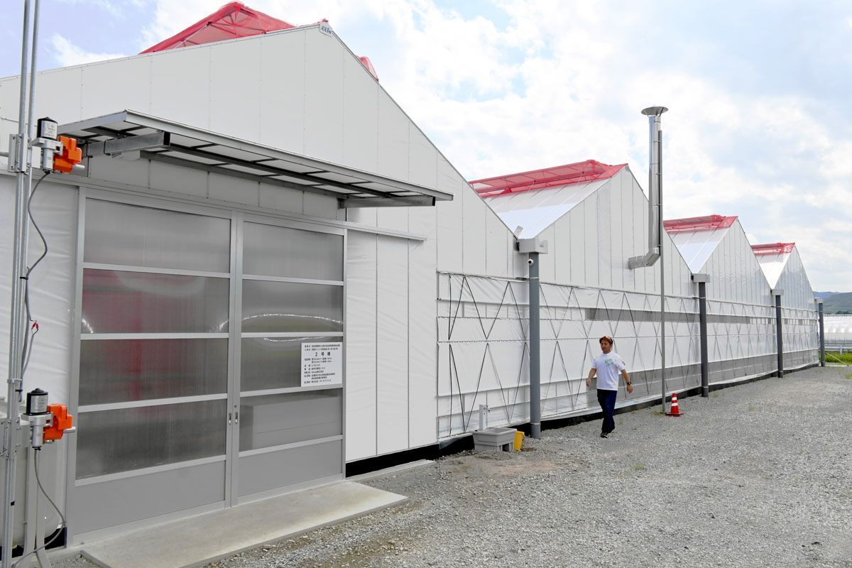 農業法人Aitosa（アイトサ）2号ハウス建設 シシトウ増産へ雇用