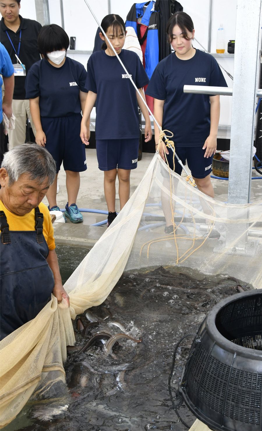 養殖ウナギの出荷作業を見学する生徒ら（東洋町野根丙の東洋町うなぎ）