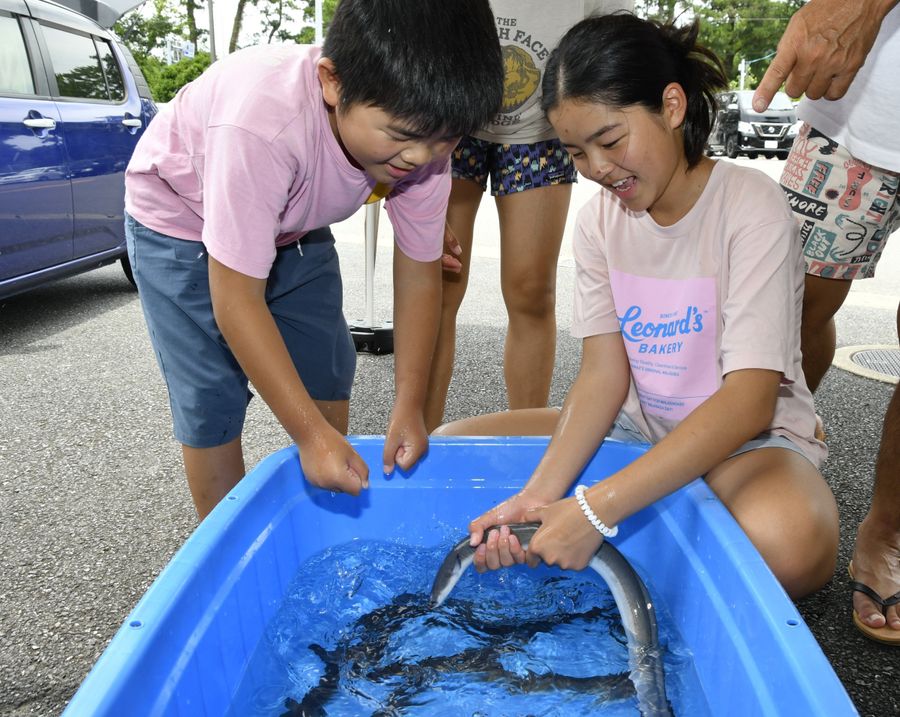 ウナギの感触を楽しむ子どもら（東洋町白浜の海の駅東洋町）