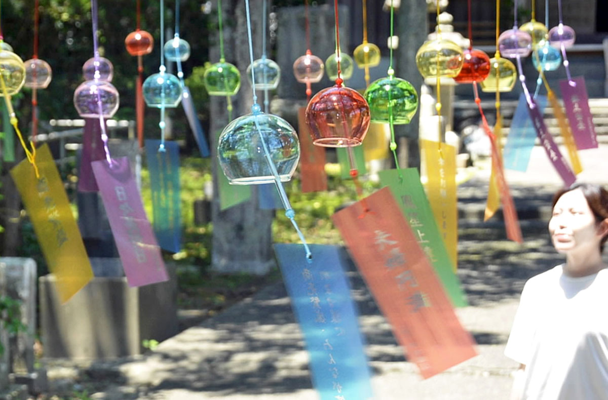 色とりどりの風鈴、参道に涼しげ 土佐市・宇佐八幡宮 | 高知新聞