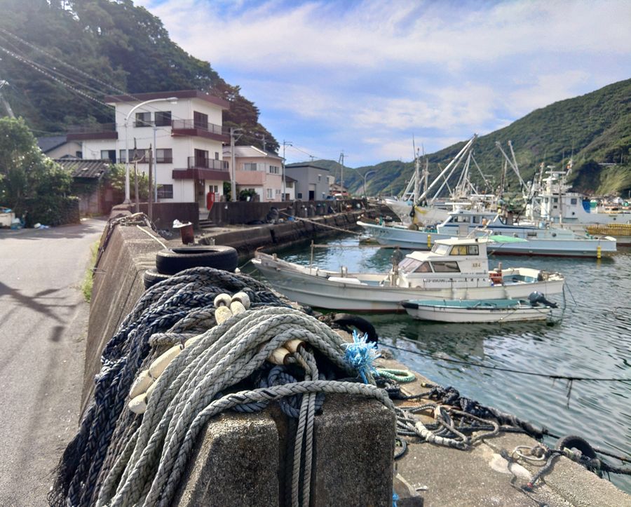 漁船がつながれた岸壁沿いに民家が並ぶ集落。漁労と暮らしの密接な結び付きが見える（大月町内）