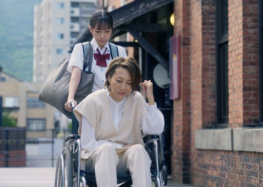 映画「猫と私と、もう１人のネコ」の一場面ⓒ２０２４「猫と私と、もう１人のネコ」製作委員会