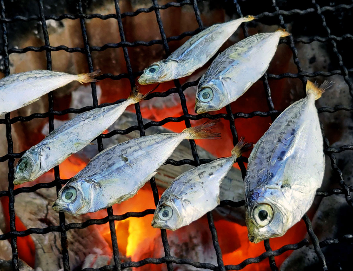 沖ニロギちゃん―魚信 絶品！珍品？ 魚（びんび）ん一皿 | 高知新聞