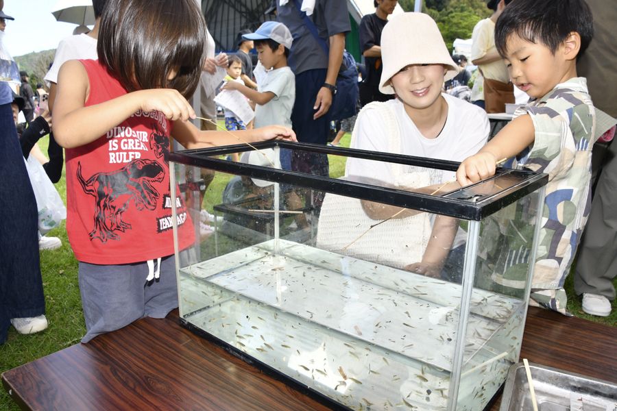 アカムシを餌にメダカ釣りに挑戦する子どもたち（日高村本郷）