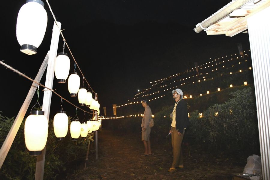 住民らが１２００個のちょうちんやランタンを置いた棚田（写真はいずれも大豊町岩原）