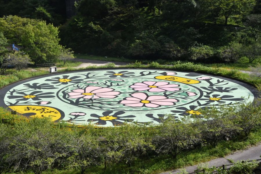 越知町の大桐広場のローラースケート場に描かれたコスモスの巨大絵。写真の中央左でスケートボードに乗る制作者、リバ・クリストフさんが豆粒のよう(越知町の大桐広場)