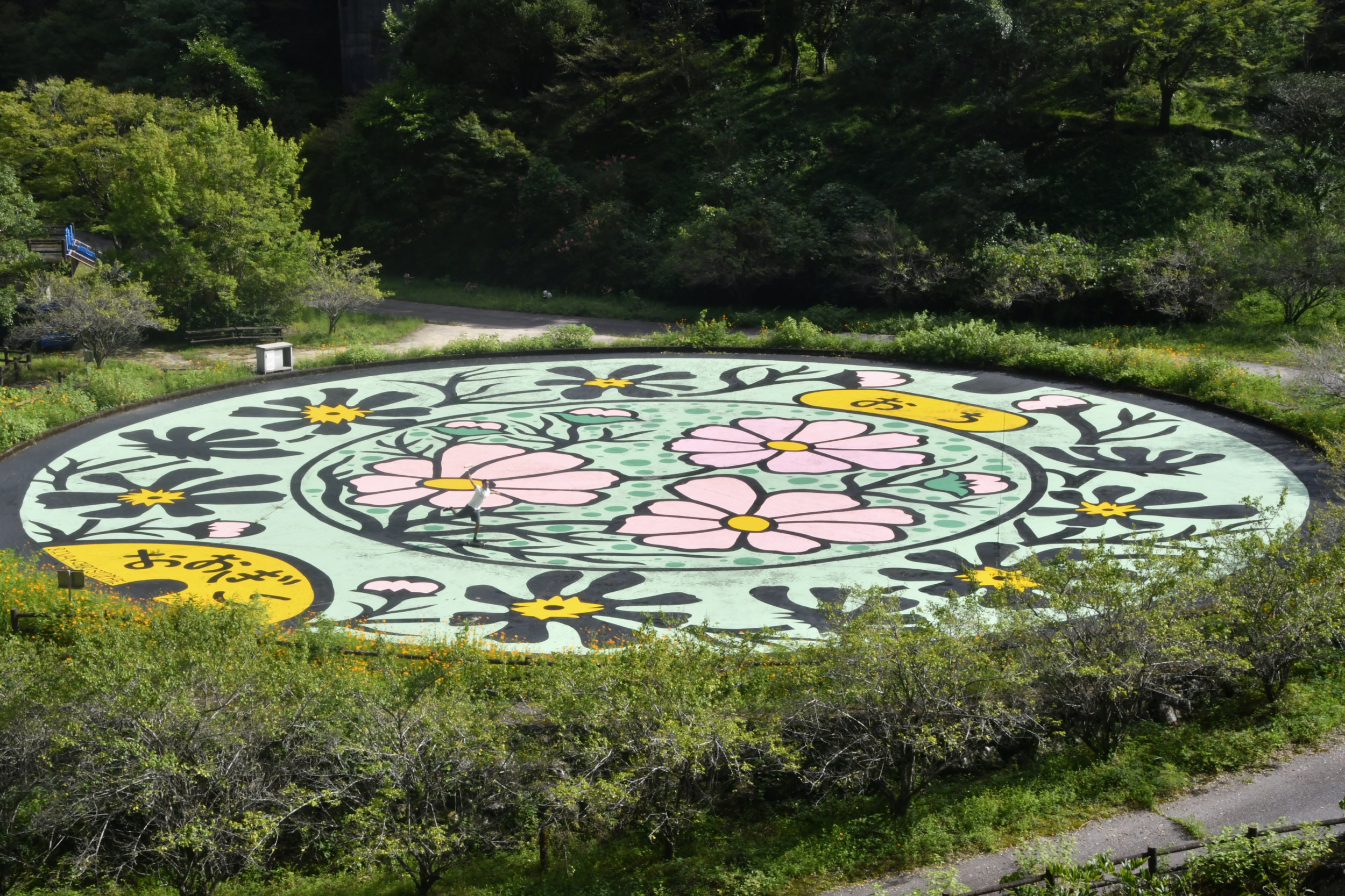 直径40メートルのマンホール！？ コスモスの巨大地上絵 越知町の大桐