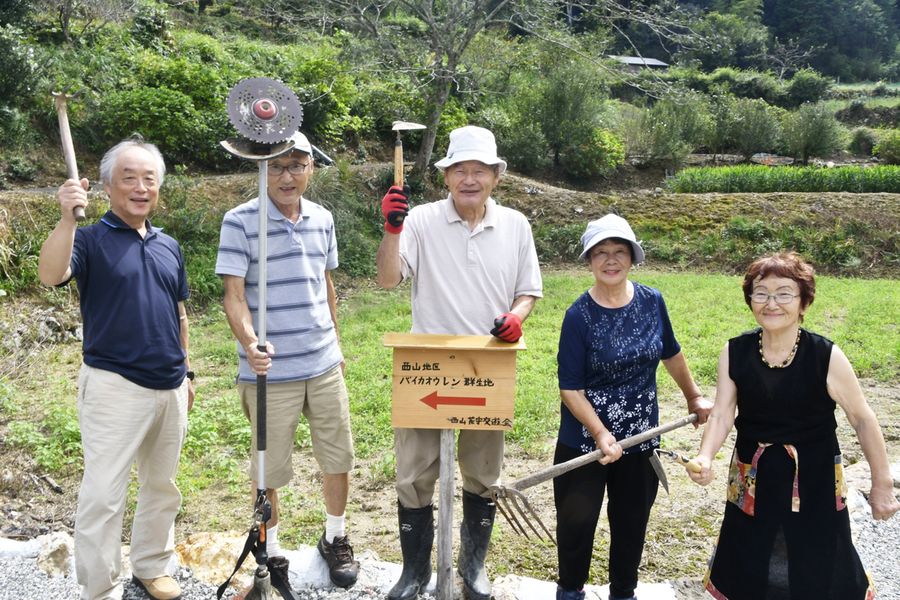 バイカオウレンの群生地を目指して整備に汗を流す西山花守交遊会のメンバー（佐川町西山組）