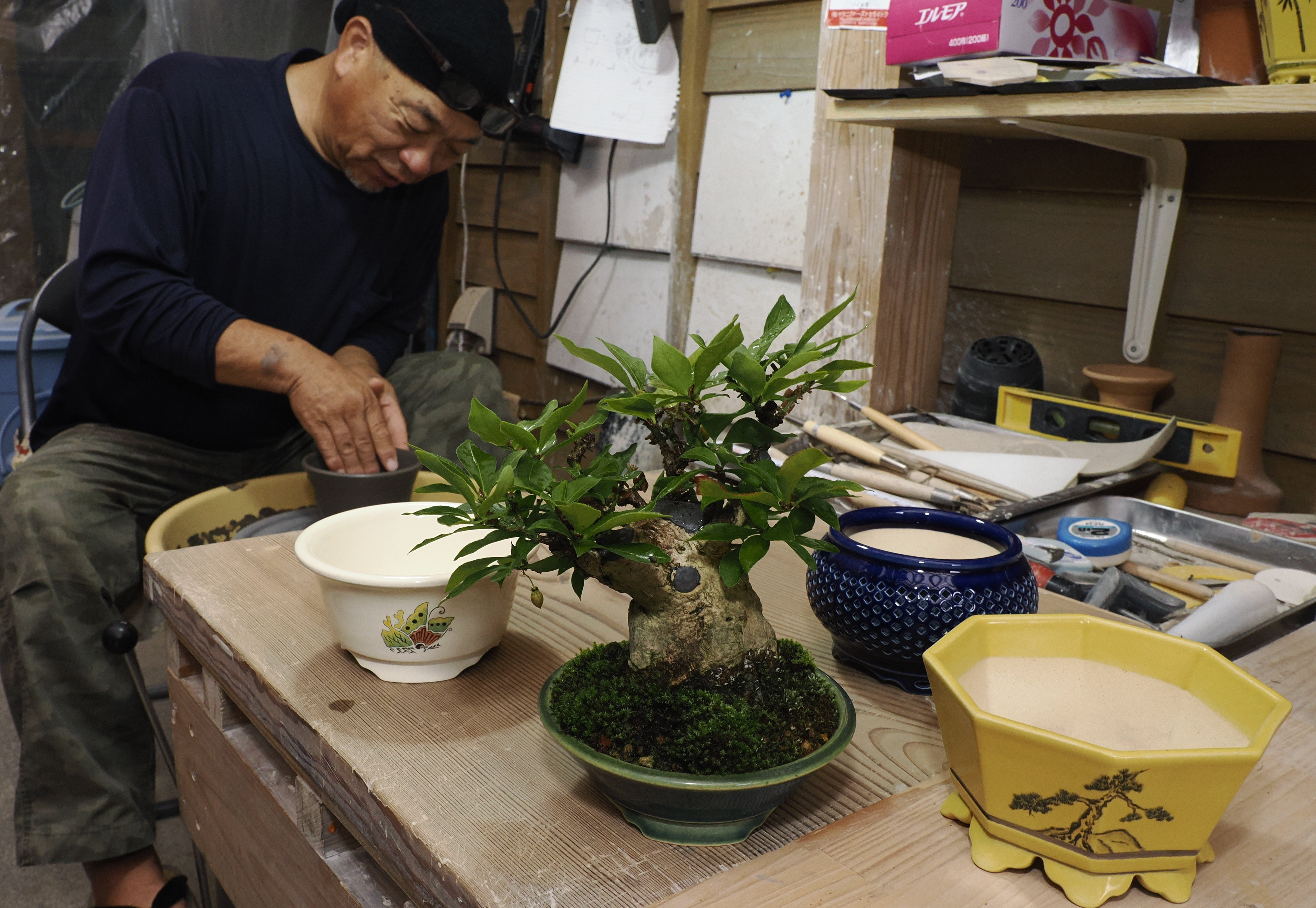 じっくり鉢まで自作の盆栽展 梼原町の愛好家男性 10／13まで