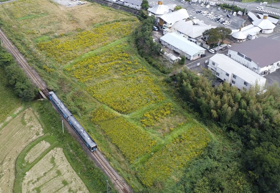 道の駅あぐり窪川(写真上)と、JR土讃線に囲まれた敷地に観光交流拠点を整備する(四万十町平串)