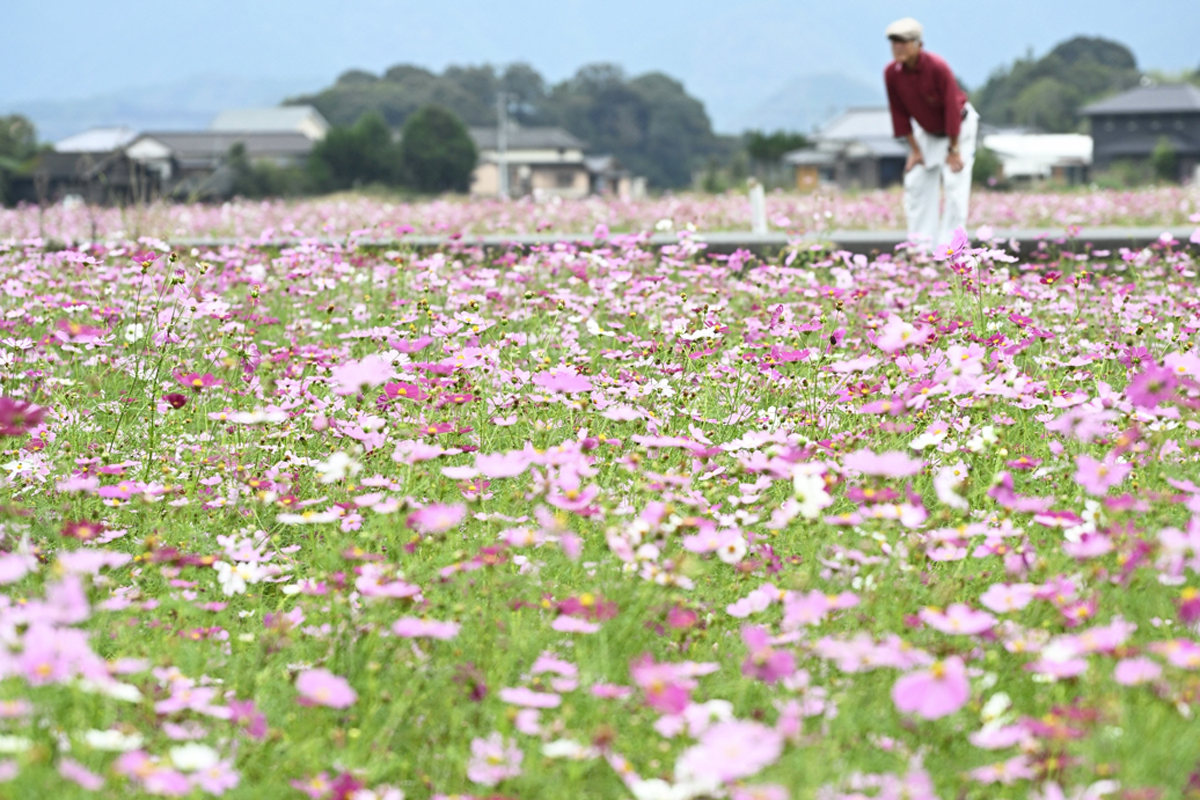 main_fb00e5a6e561dd7880eb70777