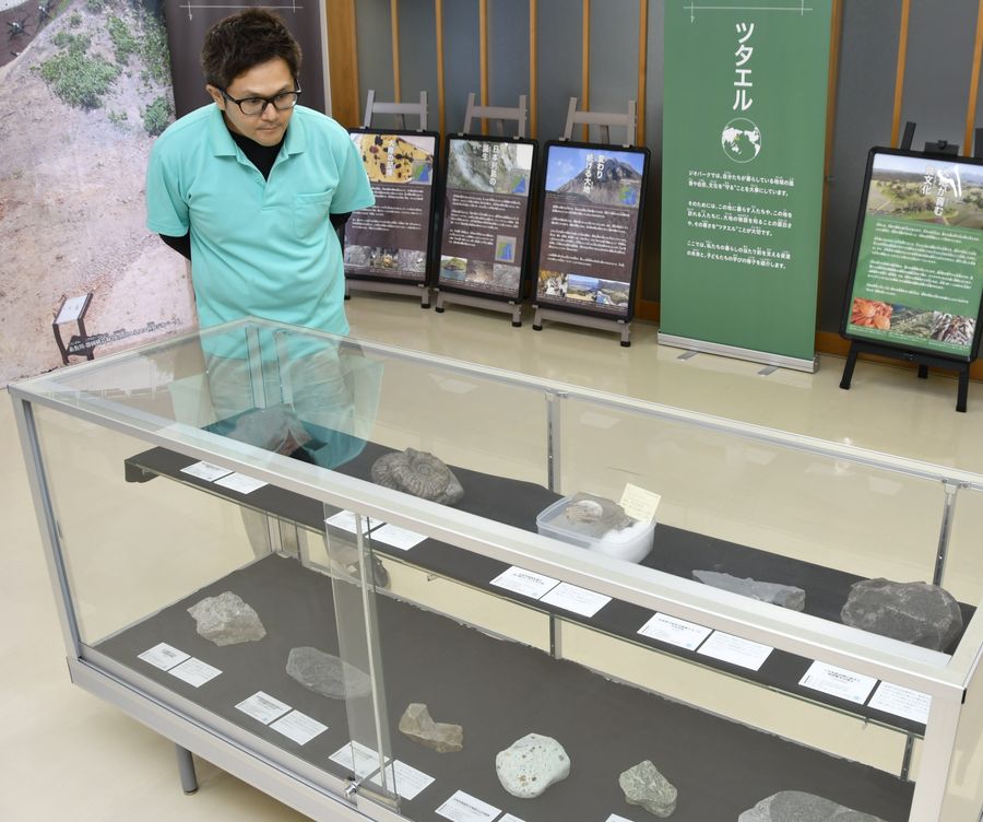 全国の岩石や化石などの展示も見られる企画展（室戸市の室戸世界ジオパークセンター）