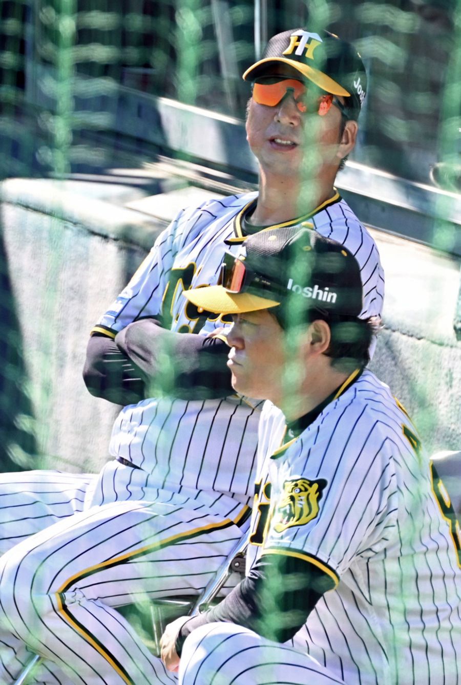 ホーム後方のネット越しに紅白戦を見る藤川球児監督（安芸球場）