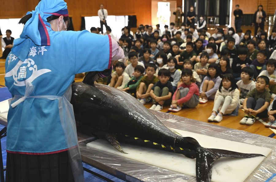 高校生による解体ショーを見守る児童ら。頭などを切り分けると「すごい！」と歓声が上がった（大月町弘見の大月中学校）
