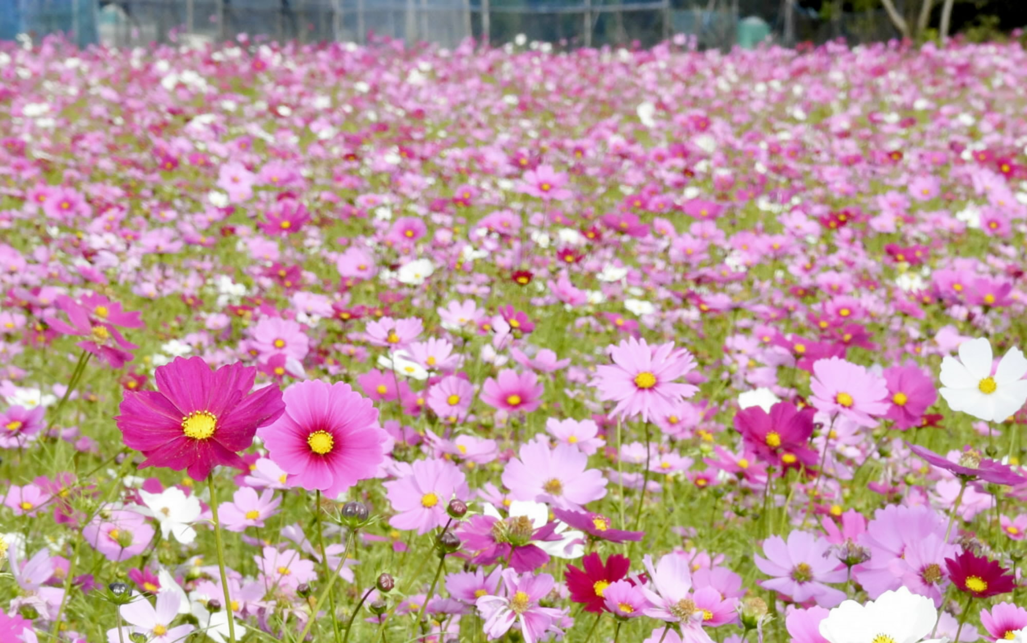 main_f56e986ac193c9a9a4f2223e9