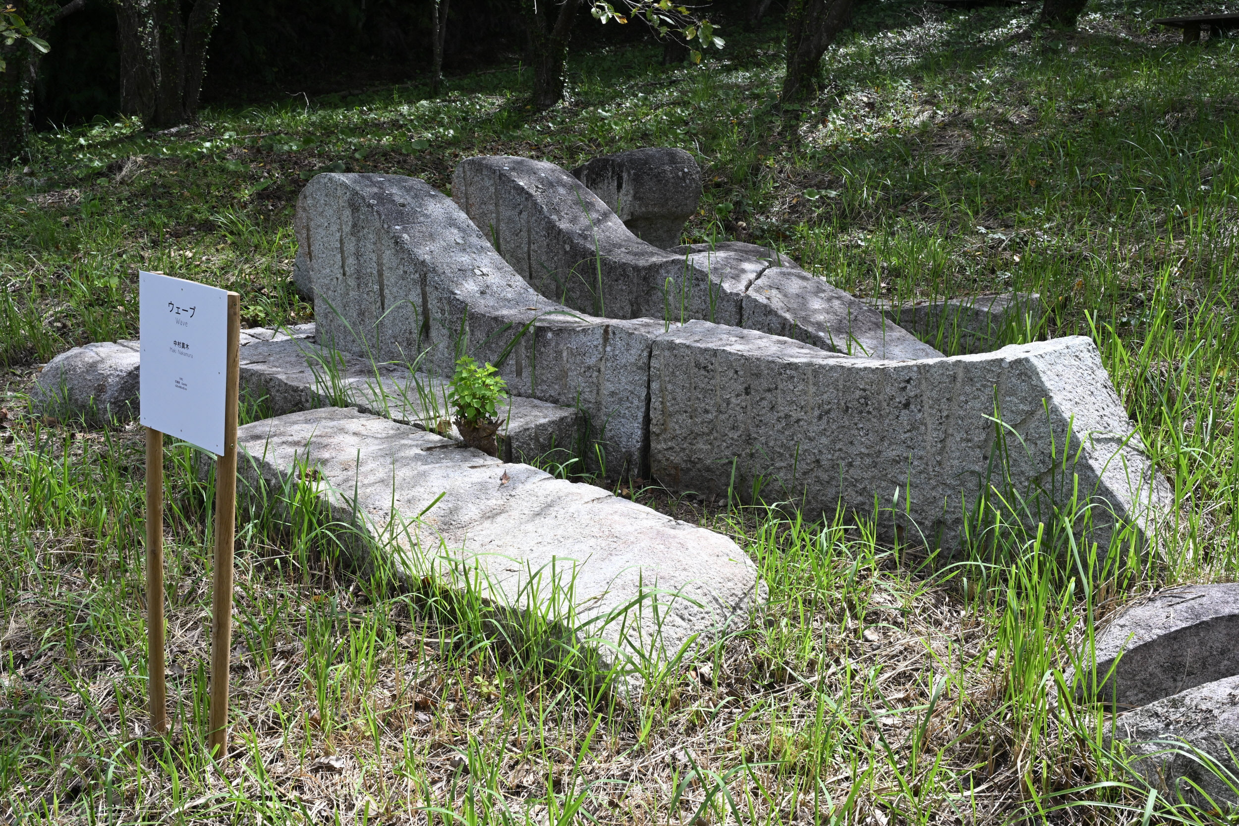 忘れられたアートに光を 道の駅に謎の石彫群（大月町）―フォっトけない