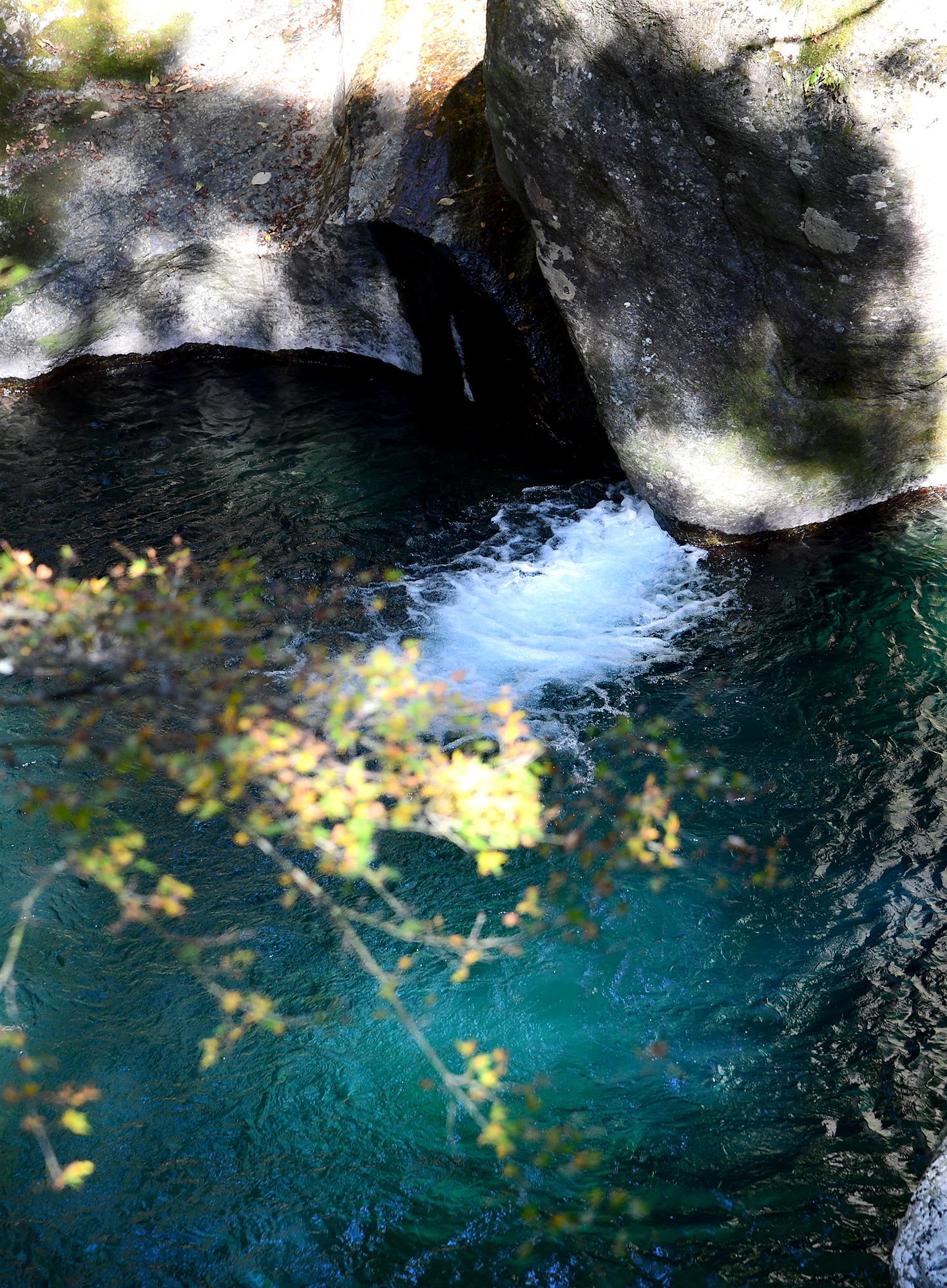 11／19撮影】澄んだ流れの中津渓谷へ―高知の紅葉2024 | 高知新聞