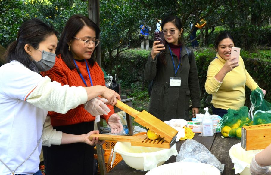 収穫後のユズを搾汁する参加者ら(北川村柏木)