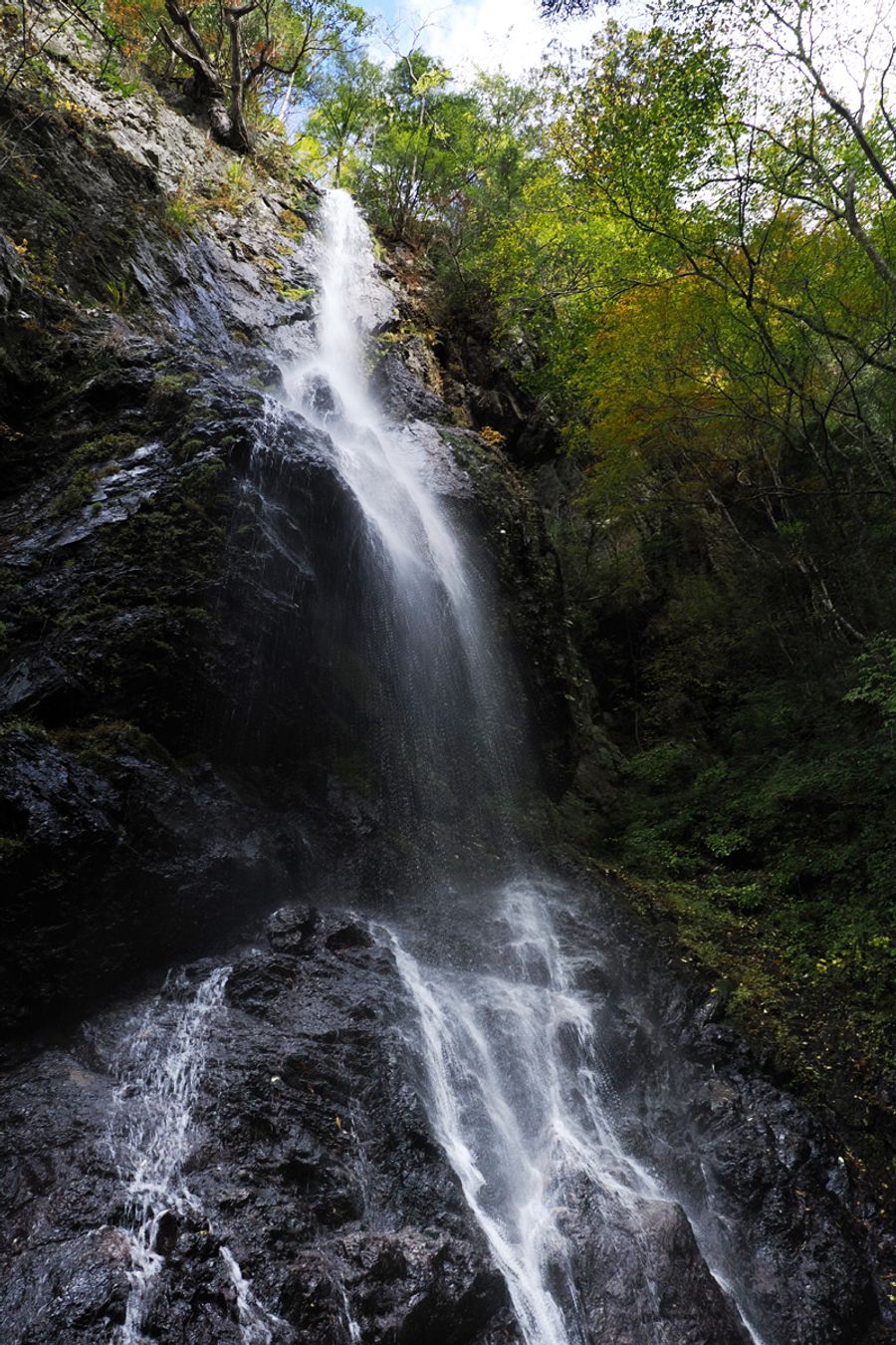 「七色の滝」と呼ばれる長だるの滝。人が足を踏み入れない奥地だ（写真はいずれも津野町芳生野丙）