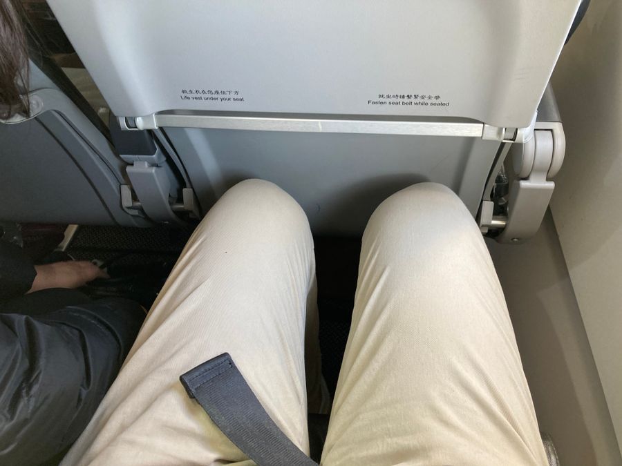 タイガーエアの座席。膝が前の座席に付きそう