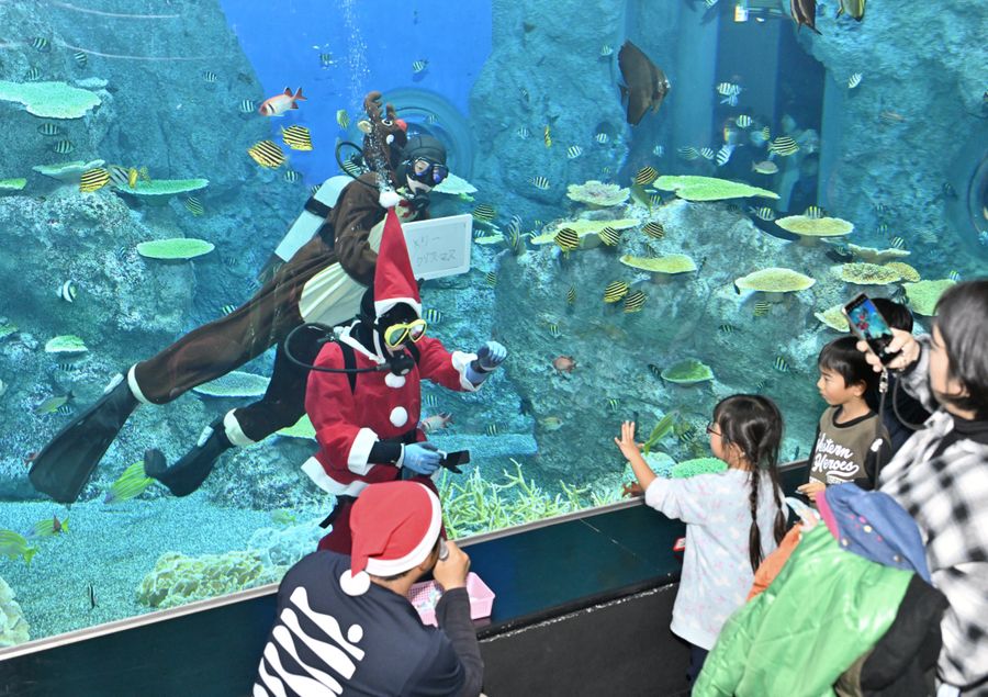 来場者とじゃんけんをするサンタクロース（土佐清水市の足摺海洋館「SATOUMI」）