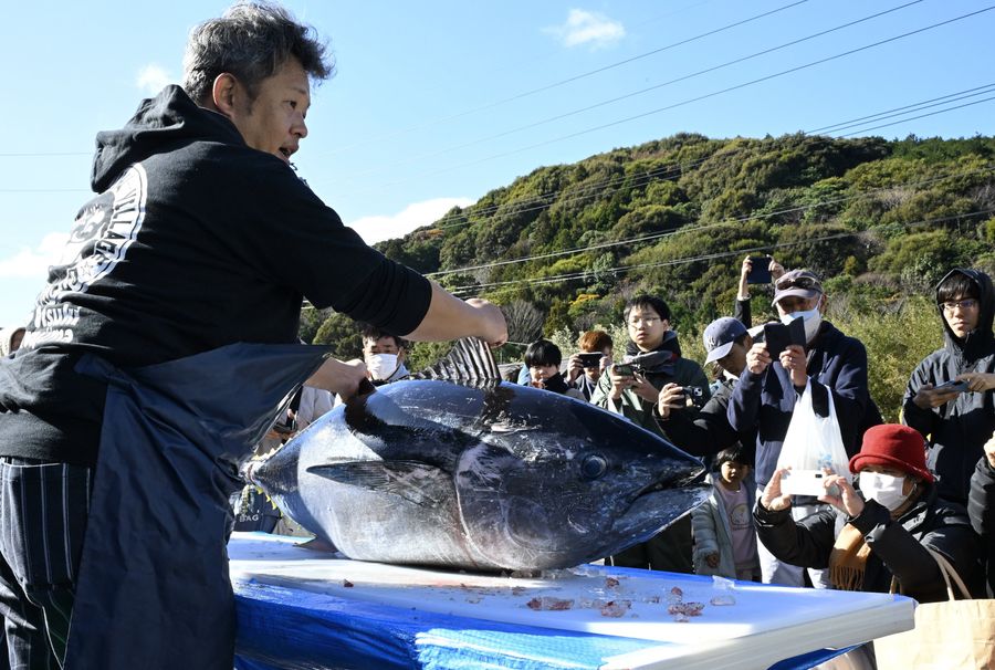マグロの解体などでにぎわった感謝祭（大月町弘見の道の駅ふれあいパーク大月）