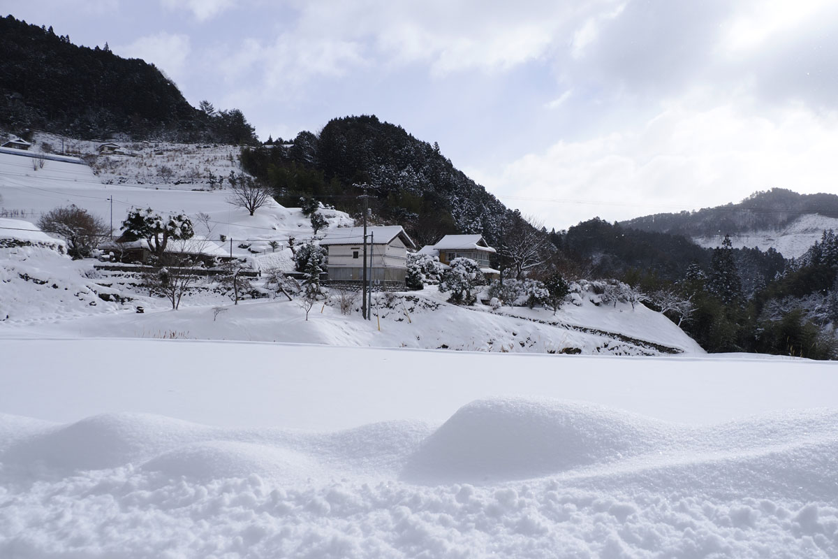 寒い！高知県内全地点で氷点下 津野町で積雪32センチ | 高知新聞