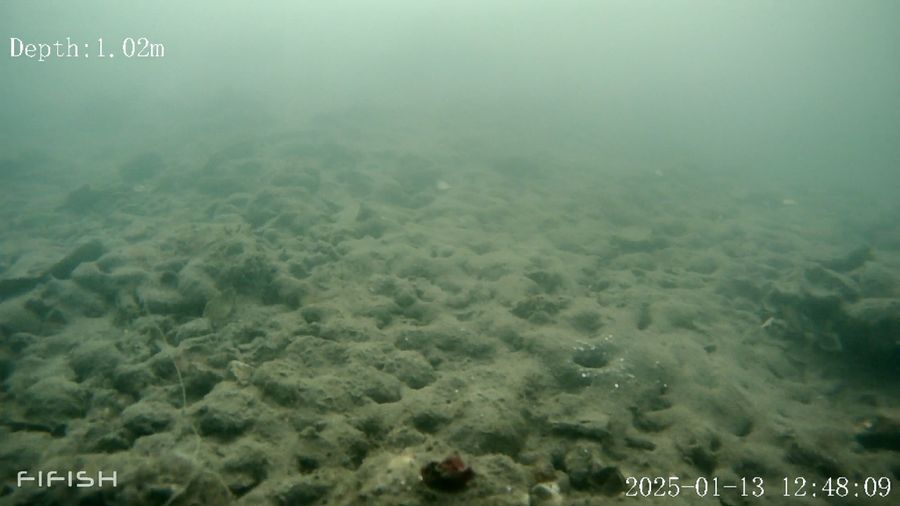 小津高生が水中ドローンで海底ヘドロ調査 高知市の浦戸湾 | 高知新聞