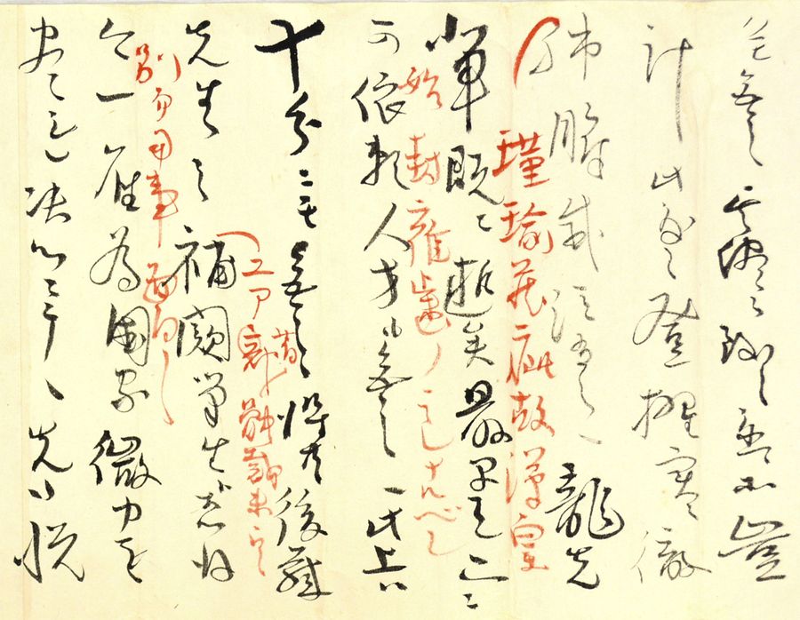 龍馬を「龍先輩」 長岡謙吉書簡・小島亀二郎宛（1871年、小島家 