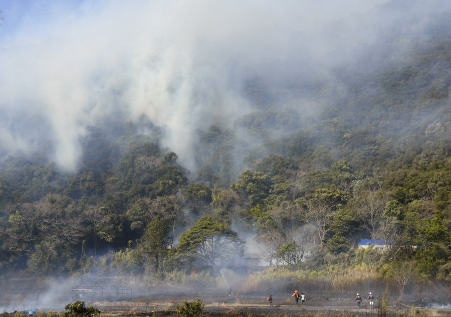 雑草などを焼いた火災現場(室戸市羽根町乙)