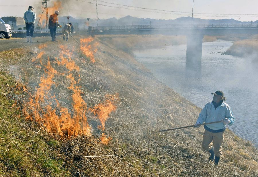 国分川沿いで行われた芝焼き。春を告げる炎と白煙が一帯を包んだ（南国市国分）