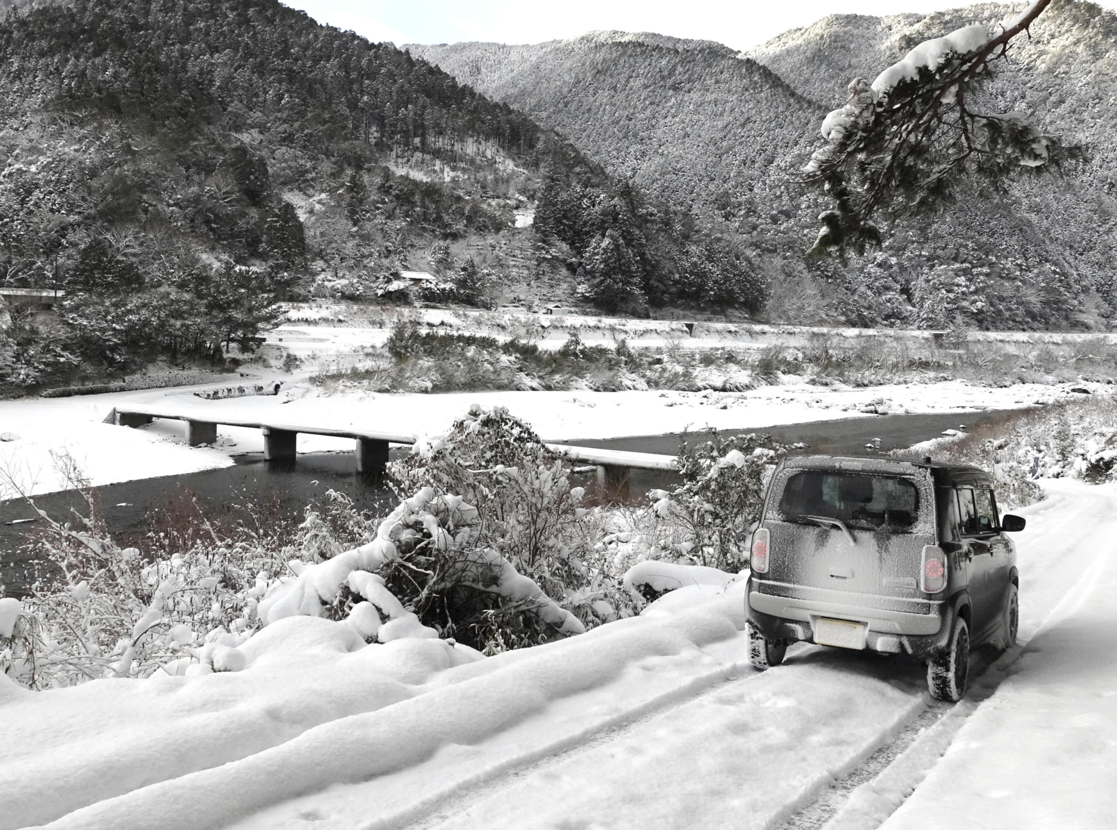 高知県の中西部で大雪 休校など生活にえいきょうも | 高知新聞