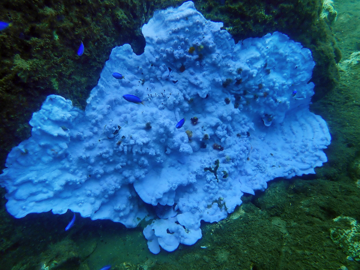 main_0171982dd654f24fddff9b5e0