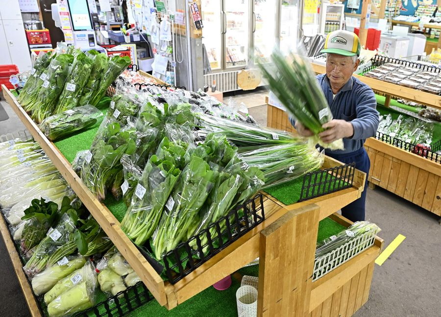直販所「ふれあい市」に野菜を納品する農家（大月町弘見の道の駅ふれあいパーク大月）