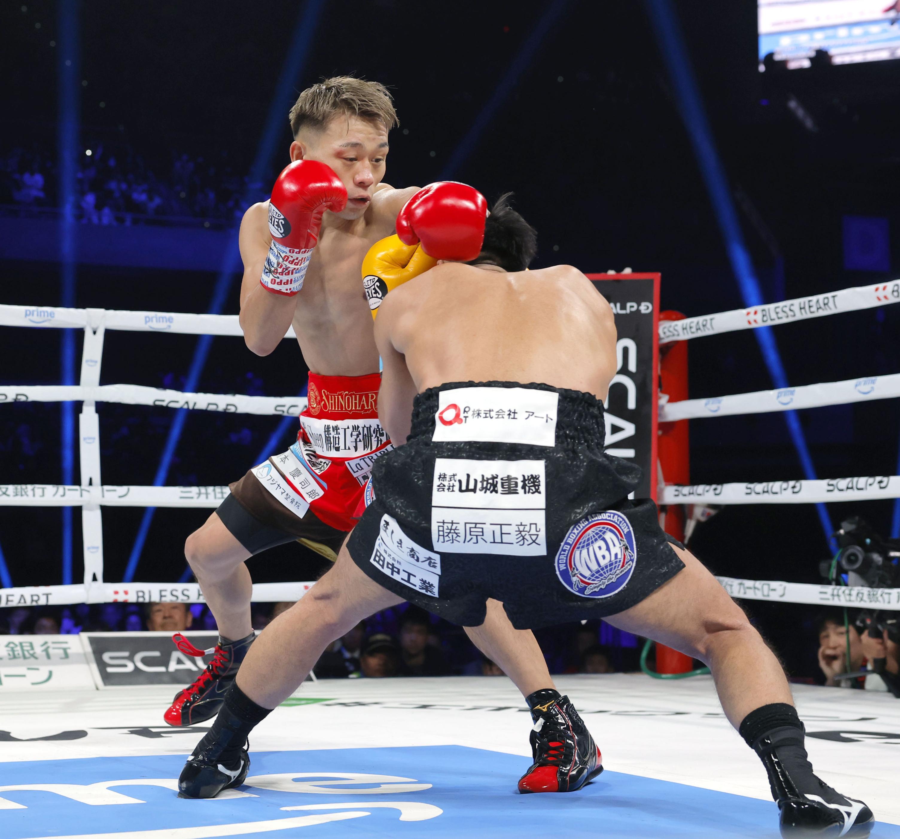 友人とたたかって世界王者守る ボクシング・堤聖也選手 | 高知新聞