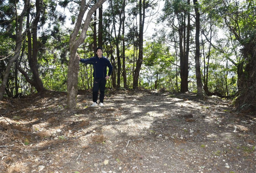 アウトドアや森林浴を楽しめる広場「ひなむぎの森」。フリースクールの活動場所としても使われる