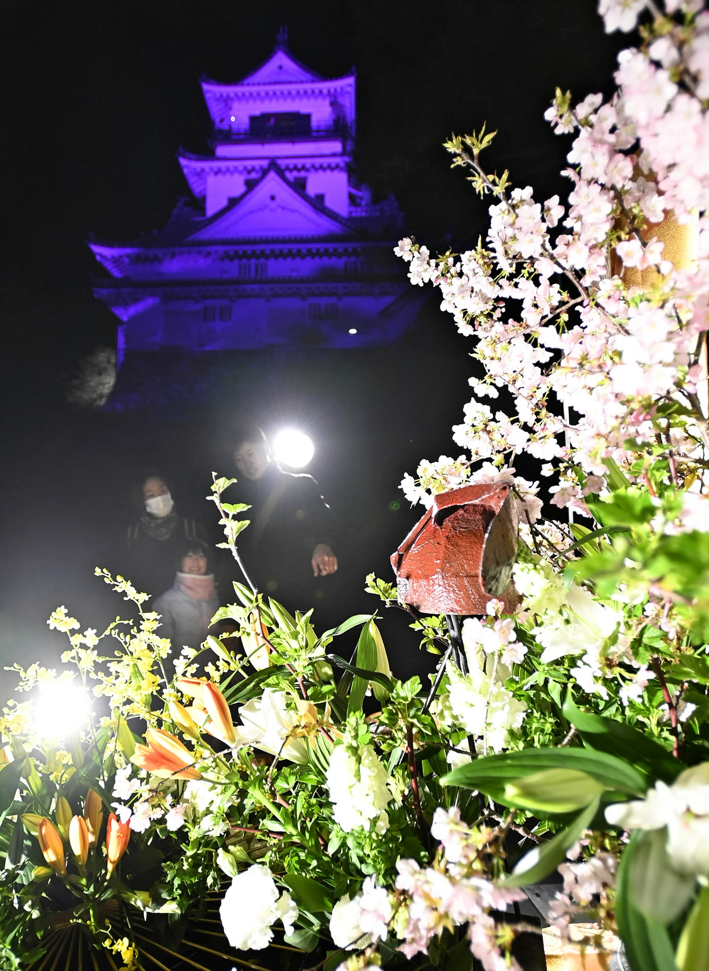 動画】春宵の高知城、花と光包む 「花回廊」4／6まで | 高知新聞