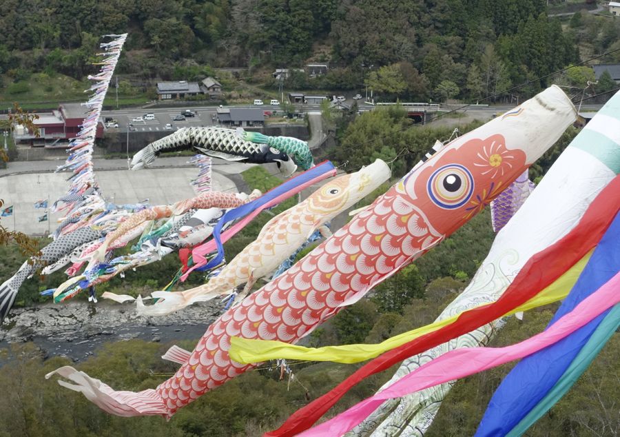四万十川の峡谷の上を舞う約５００匹のこいのぼり（四万十町小野の展望台付近から撮影）