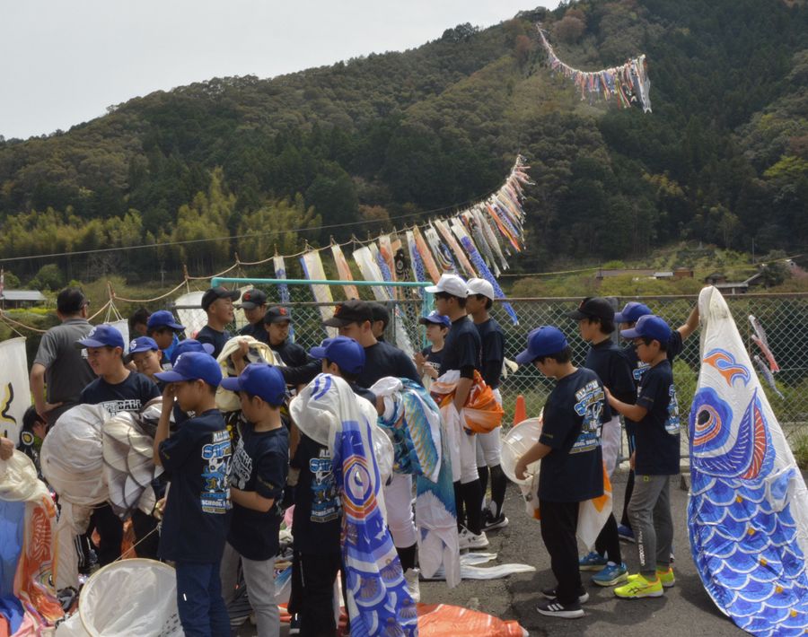 ワイヤにこいのぼりを取り付ける住民ら（四万十町十川）