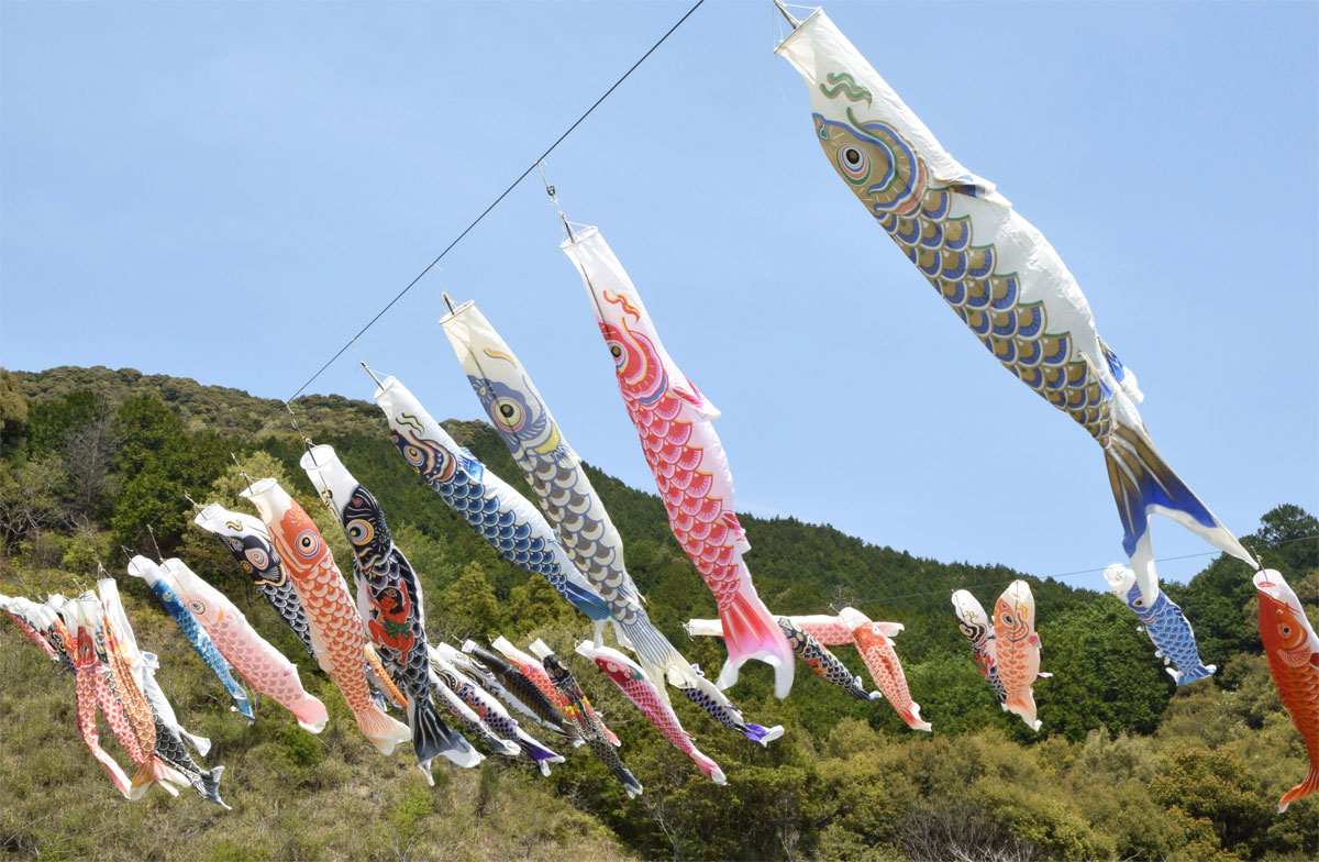 新緑に泳ぐこいのぼり 三原村の星ケ丘公園 | 高知新聞