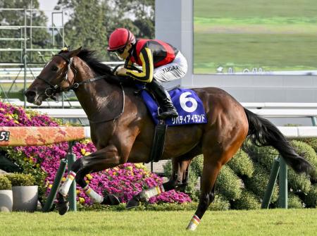 まねき馬 60弾SP No.2470リバティアイランド リバティアイランド(未開封) 泥臭い まねき馬№2470