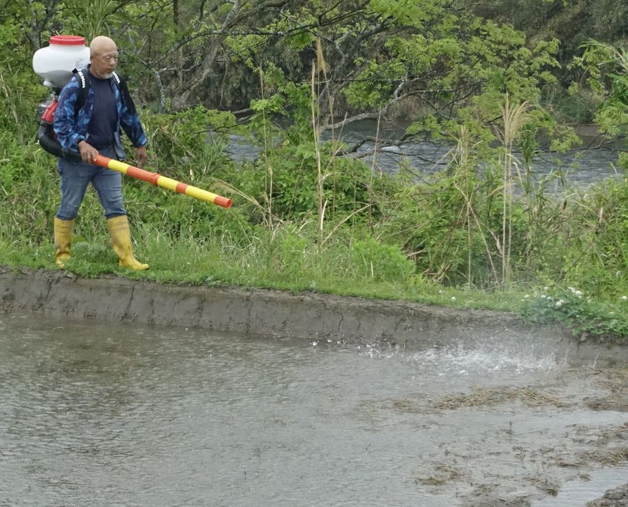 濁水抑止へ石こう資材を散布する実証実験。後方の流れは四万十川の本流（四万十町宮内）