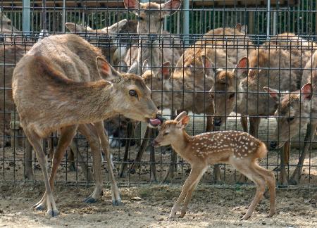 2025050201000709.jpg?w=900