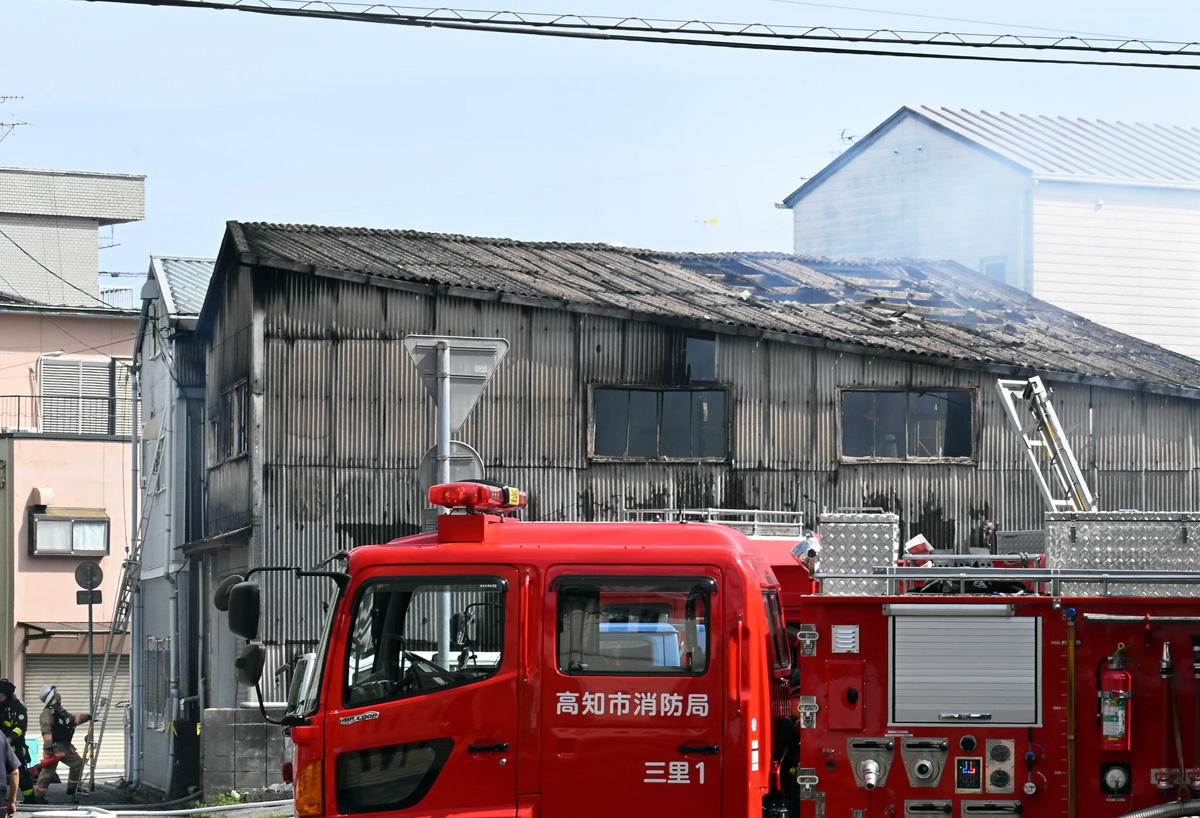 値下げしました✨東京都板橋区高島平より　安心の 整備済みでそのまま乗れます。 爆速！希少！ベクスター125　原付き　スクーター Used Scooter Heaven] I came to Shonan Junkyard to buy a bike that