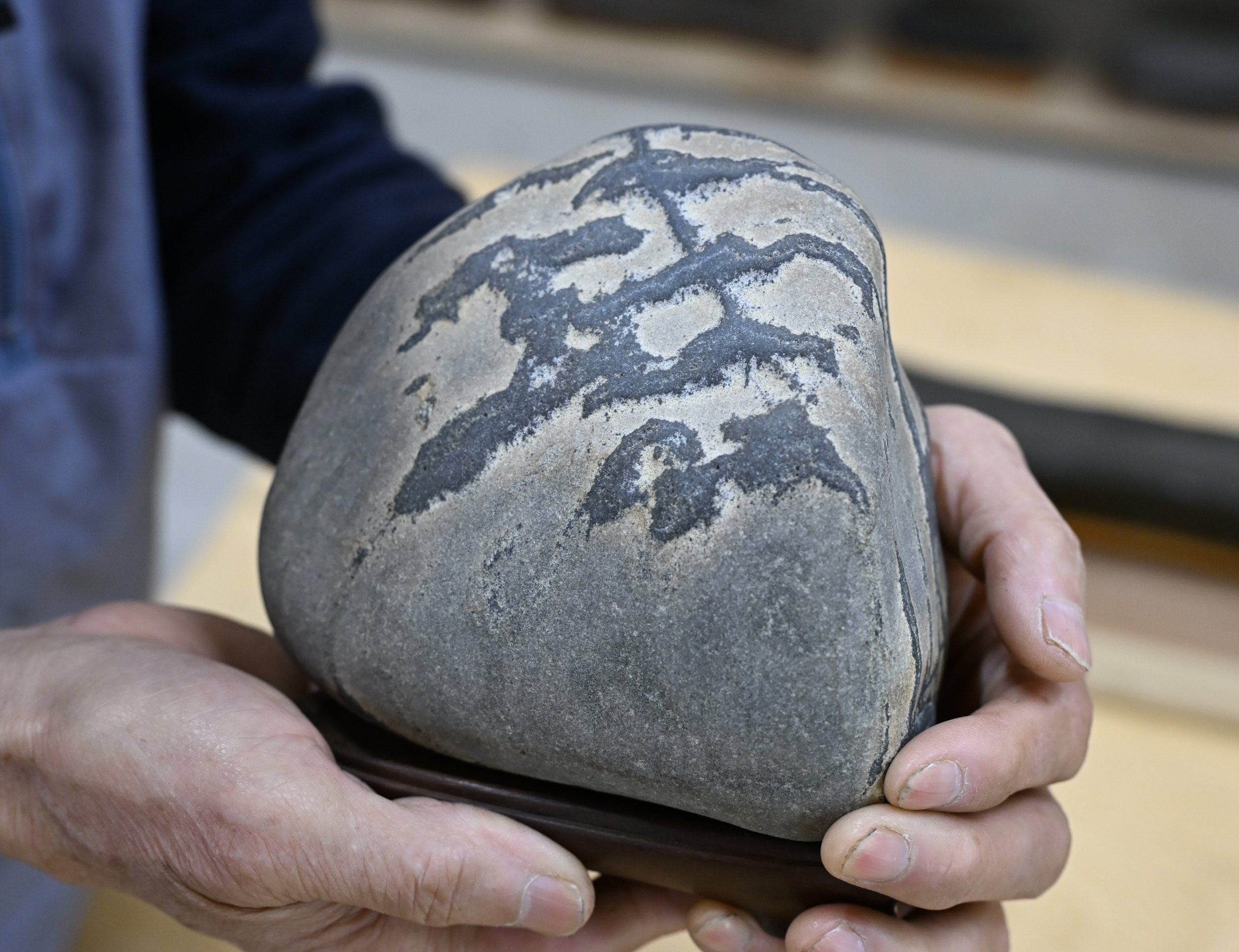 深遠な石の世界 四万十川石を愛して40年 竹田米広さん（76） 好き