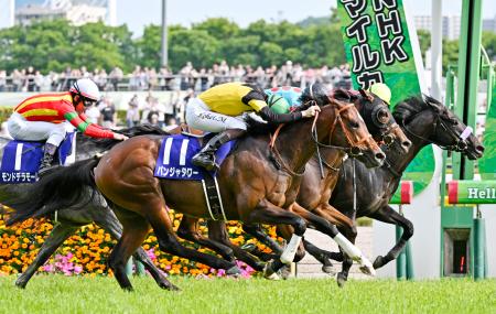 競馬G1、パンジャタワーが優勝 NHKマイルカップ | 高知新聞