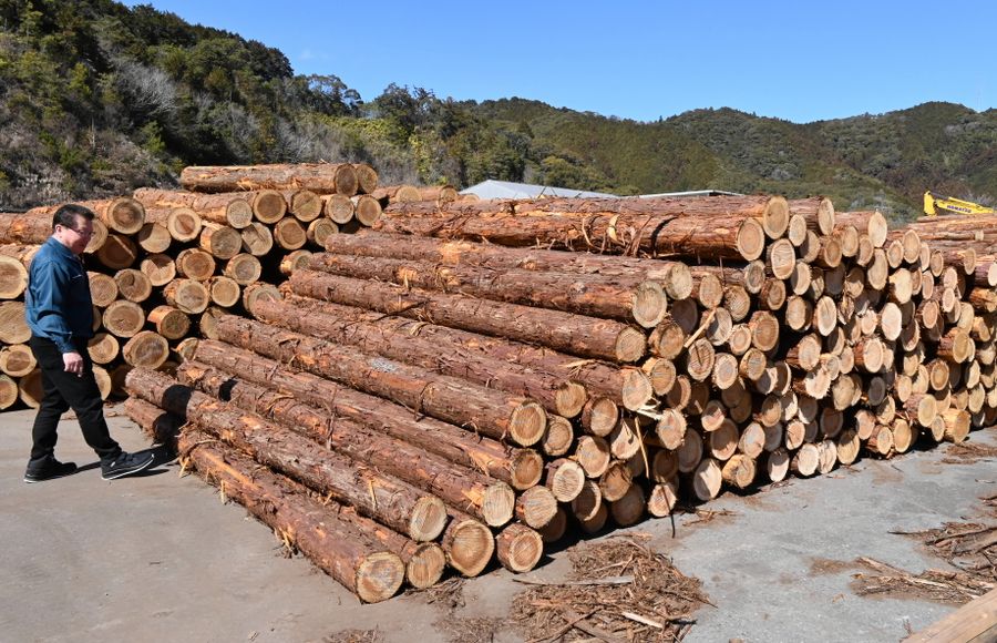 仁淀川林産協同組合の原木置き場。山林情報バンクへの登録が広がれば、さらに効率よく生産できると期待される（佐川町丙）