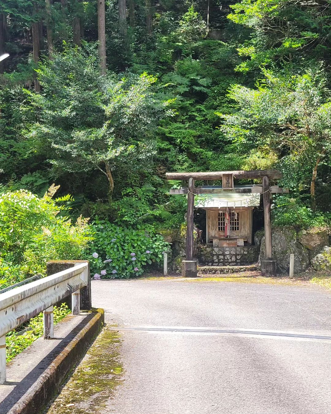 高知　素人　投稿画像 送っていただきました！あなたの高知百景５／１７ | 高知新聞