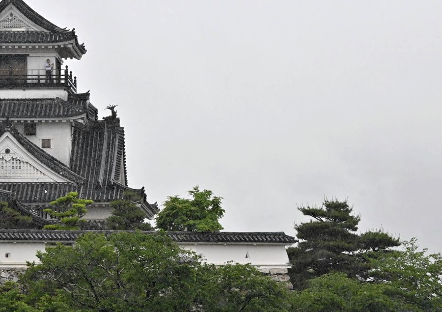 桜を伐採した後の高知城（２０２５年５月２１日）