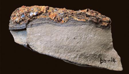 北海道に1億年前の津波跡 琥珀の形決め手、産総研 | 高知新聞